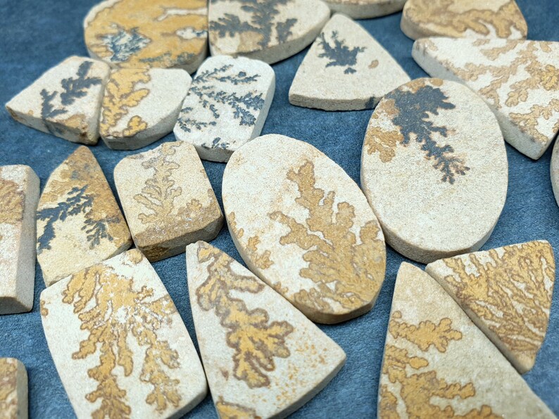 May include: A collection of flat, polished stones in various shapes including ovals, rectangles, and triangles. Each beige stone features intricate, dark brown or black dendritic fern-like patterns that resemble branching trees or mossy growths.