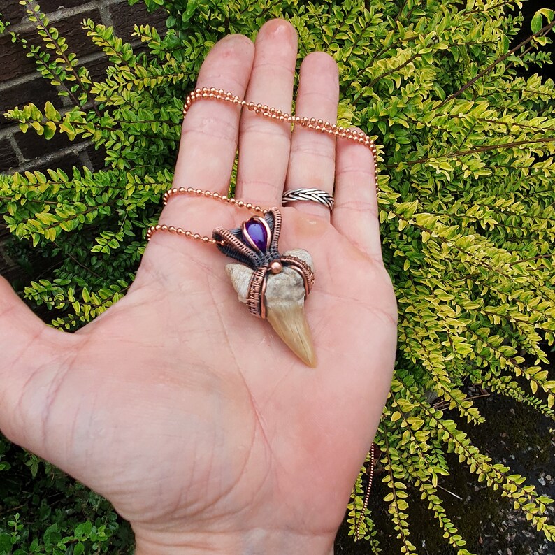 K&ouml;nnte beinhalten: Ein Anh&auml;nger aus Kupferdraht, der um einen versteinerten Haifischzahn mit einem violetten Edelstein-Akzent gewickelt ist. Der Anh&auml;nger ist an einer Kupferkette befestigt.