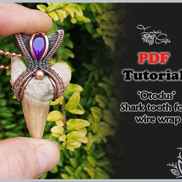 TUTORIEL PDF - Fossile de dent de requin Otodus obliquus - motif enroulé - pendentif dent de requin