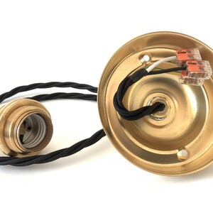 Puede incluir: Una l&aacute;mpara colgante de color lat&oacute;n con un cable trenzado negro. El accesorio incluye un portal&aacute;mparas y una roseta de techo con conectores de cableado. Los componentes est&aacute;n sobre un fondo blanco.