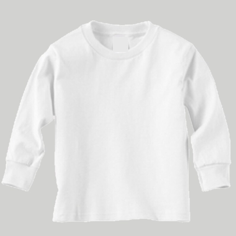 May include: A plain white long-sleeved t-shirt.