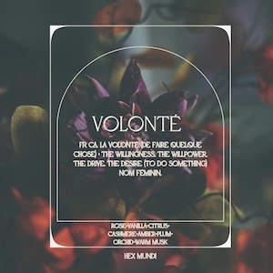 Volontè Parfum
