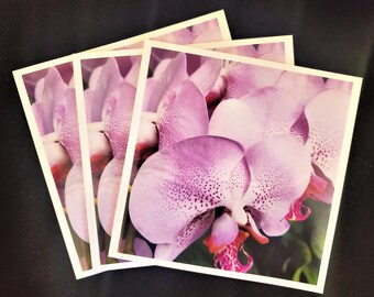 Limited Edition Urban and Botanical Photobook