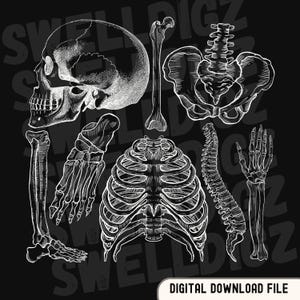Rad Tech PNG Xray Tech PNG SVG-bestand radiologie digitale download voor T-shirts Xray Grad Clip Art-bestand X-Ray Tech student clipart voor shirt