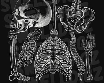 Rad Tech PNG Xray Tech PNG SVG file Radiology Digital Download for T-shirts Xray Grad Clip Art File X-Ray Tech Student Clipart for Shirt