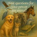 Have questions for your pet or any animal, still here or at Rainbow Bridge ?