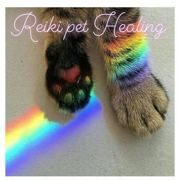 Reiki Distance Pet Healing