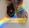 Reiki Distance Pet Healing product logo