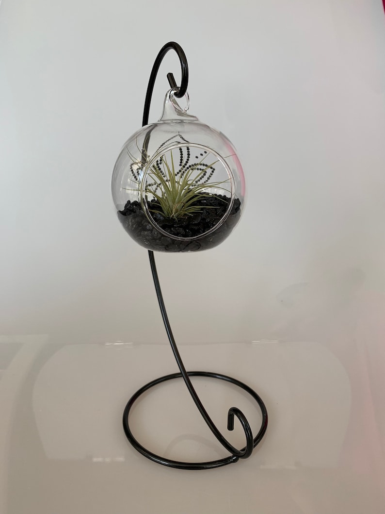 Hanging Glass Terrarium. Sphere is 3.5 by 3 inches. Opening is Etsy