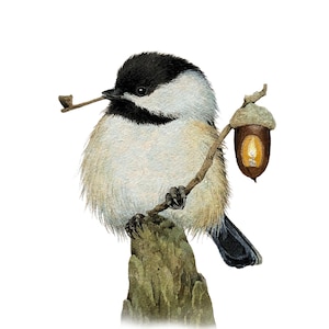 Chickadee with Lantern Print