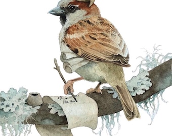 Sparrow Scribe Print