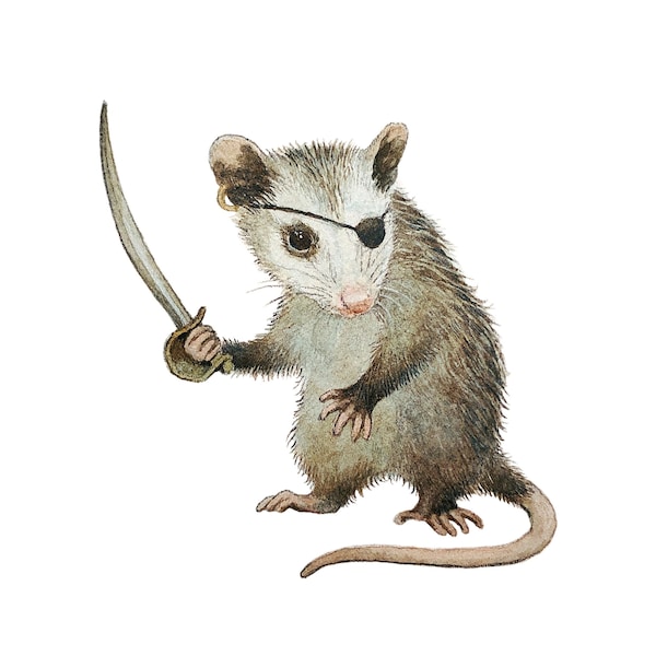 Possum Pirate Print