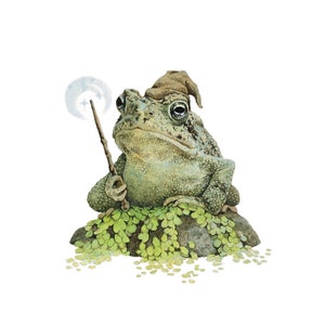 Magical Toad Print