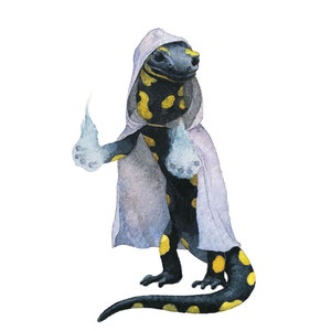 Fire Salamander Sorcerer