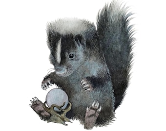 Skunk Diviner Print