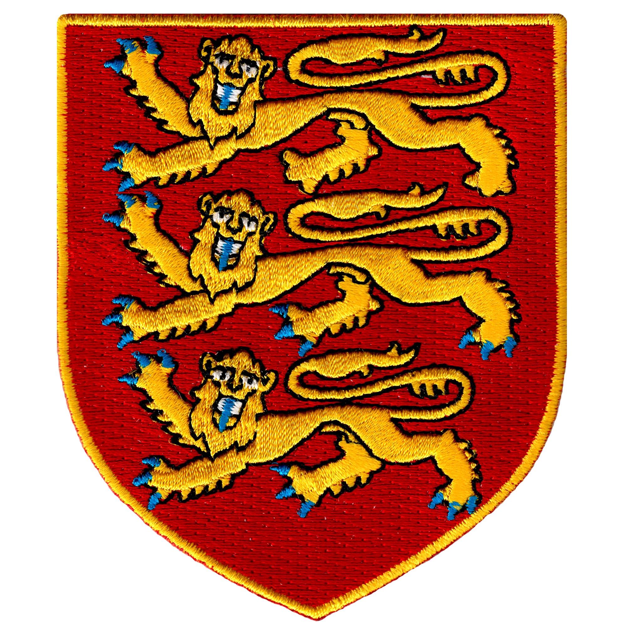 Nome Toppa Con Bandiera Di Il Ceco Republic Toppa/Distintivo