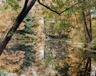 Fall Leaves in Michigan | Dark and Moody Fall Photo Print | Landscape Photography | Michigan Home Decor | Autumn Pond Scene