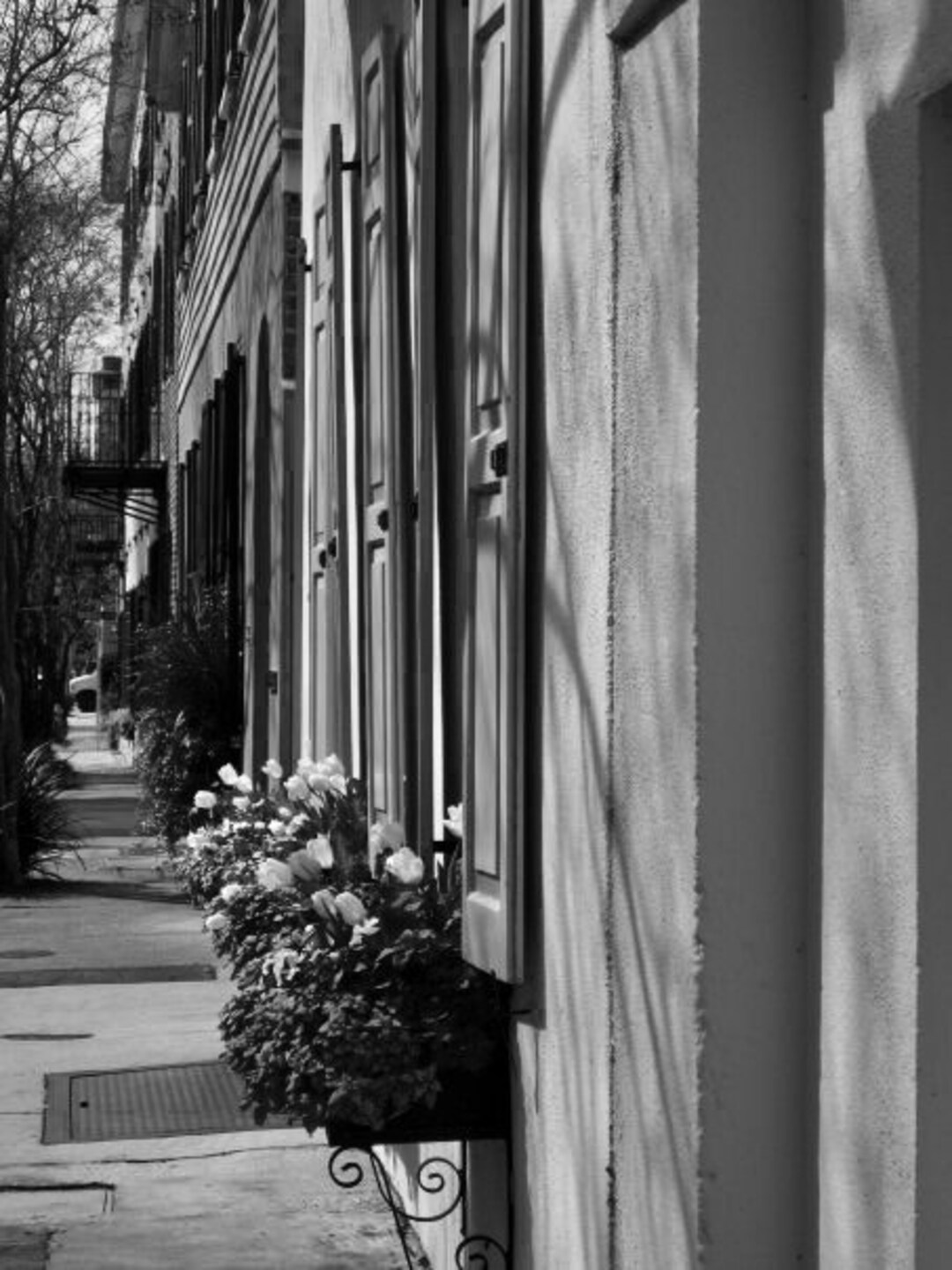 Digital Print of Charleston Window Boxes Etsy