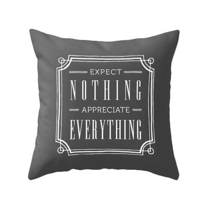 Expect nothing appreciate everything throw pillow quote pillow quote throw pillow typography pillow cushion blue pillow quote cushion