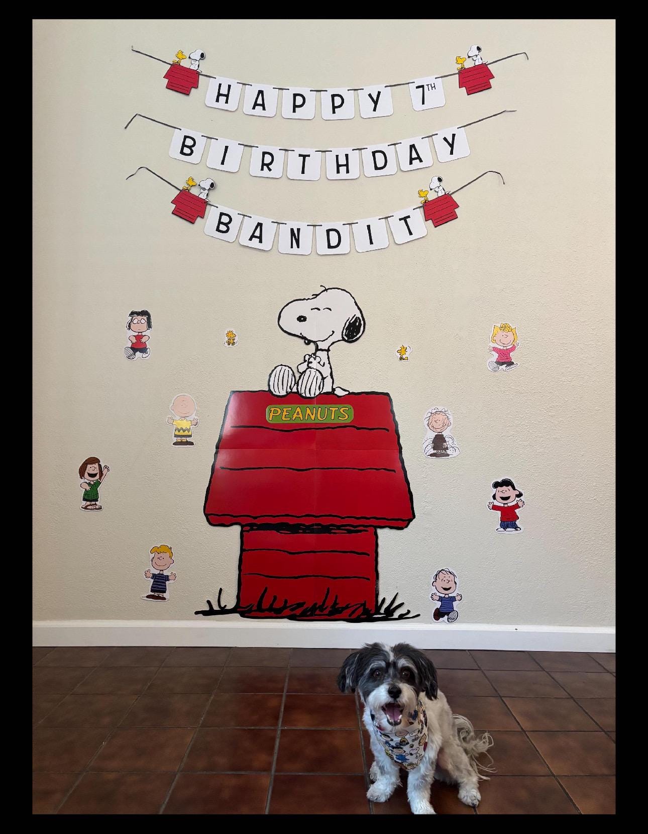 Snoopy 