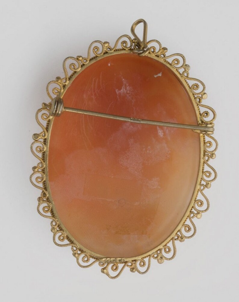 Leda and the Swan Shell Cameo Brooch or Pendant. pnvc1071 Etsy