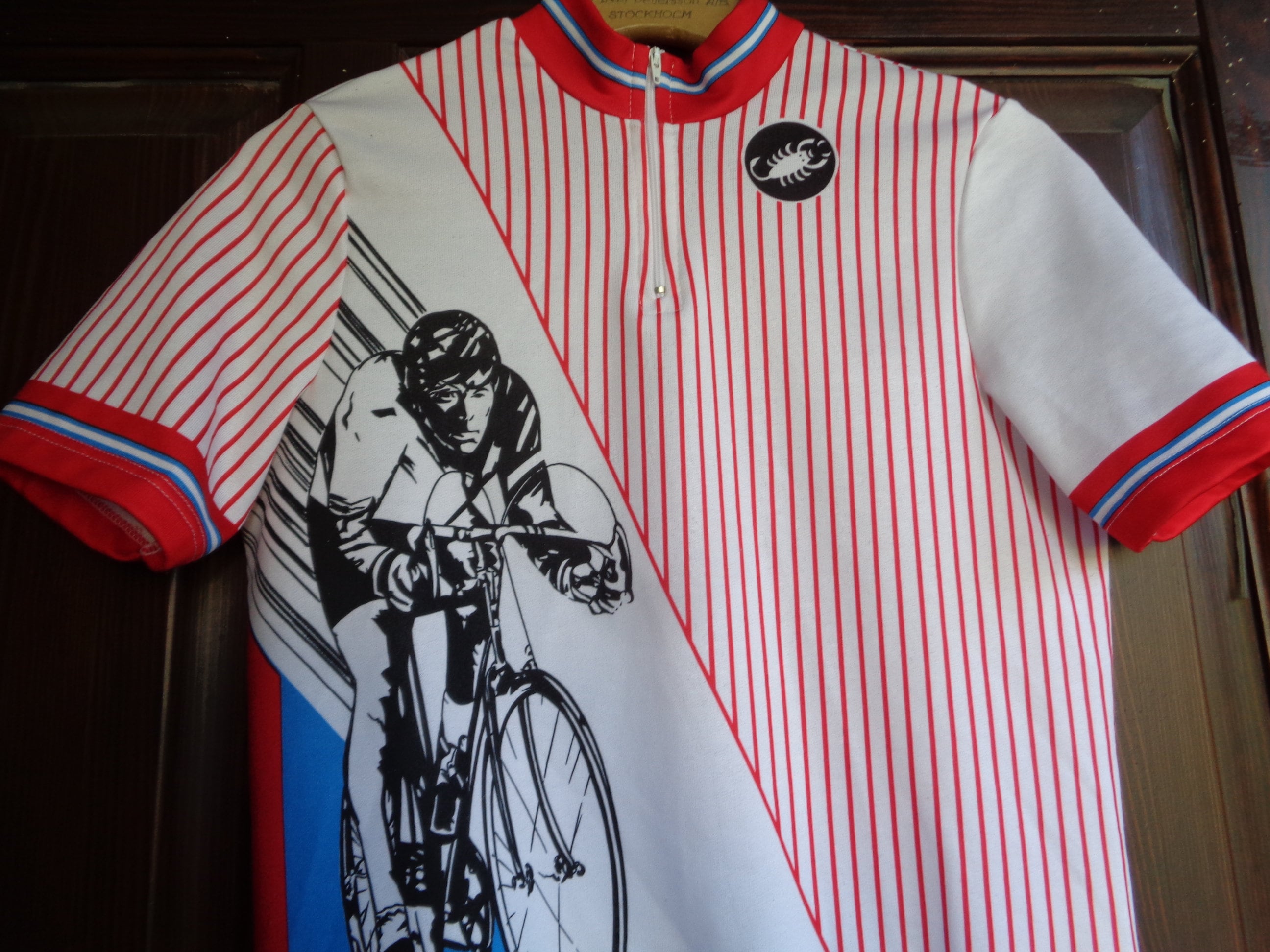 Vintage Short Sleeve Cycling Jersey for Men D02100320_06 / L