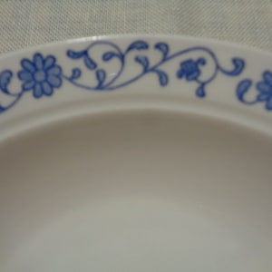 May include: A white ceramic plate with a blue floral design around the rim.