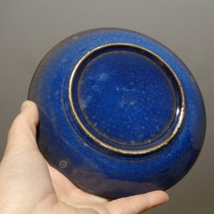 May include: A blue ceramic plate with a slightly raised rim and a smaller, concentric circle in the center. The plate has a speckled, textured surface.