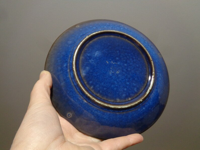 May include: A blue ceramic plate with a slightly raised rim and a smaller, concentric circle in the center. The plate has a speckled, textured surface.