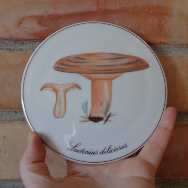 Danish Vintage Wall Plate / Trivet with Mushroom Print "Delicious Milky - Cap" Copenhagen Porcelain B&G made in Denmark dia 6"/ 15cm