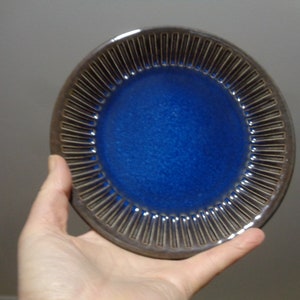 May include: A small blue ceramic plate with a decorative brown rim. The rim has a series of vertical lines.