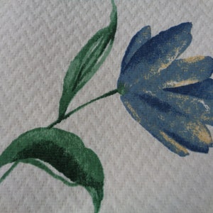May include: A blue flower with yellow accents on a white background with green leaves.