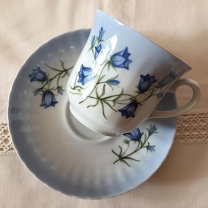 May include: A blue and white porcelain teacup and saucer set with a floral pattern of bluebells. The cup and saucer have a delicate, scalloped edge.