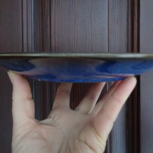 May include: A blue and white ceramic plate with a decorative design. The plate is being held by a hand.