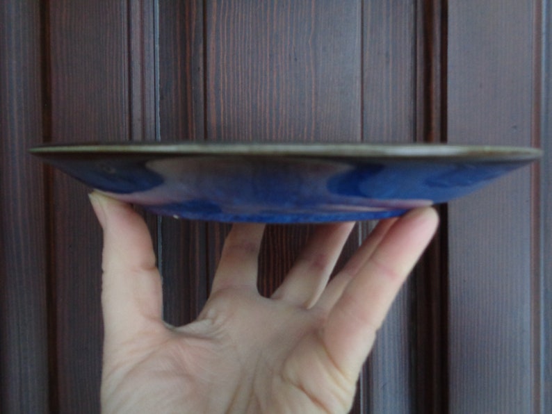 May include: A blue and white ceramic plate with a decorative design. The plate is being held by a hand.