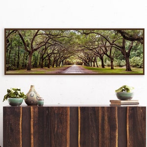 May include: A panoramic photograph of a long, tree-lined road with a wooden frame. The road is lined with tall trees with green leaves and branches that arch over the road. The road is a dirt road with a light brown colour. The photograph is hanging on a white wall above a dark brown wooden cabinet with a light brown top. The cabinet has two doors and is sitting on a light brown rug. There is a small green plant in a green pot on the cabinet. There is a brown leather ottoman in the bottom left corner of the image.