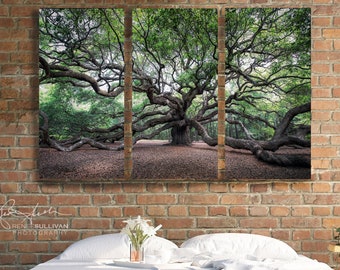 Angel Oak Tree/CANVAS Triptych/Extra Large Wall Decor/Fine Art Photography/Charleston South Carolina SC/Three Panel Photo/Oversized/Savannah