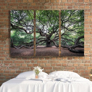 May include: A triptych of photographs featuring a large, sprawling oak tree with thick branches and lush green leaves. The tree is in a forest setting with a dirt path leading to it. The photos are printed on canvas and framed in a modern style.