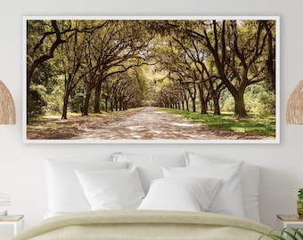 Wormsloe Plantation/Savannah Georgia/Live Oak Trees/Spanish Moss/Nature Landscape/Long Narrow/Sm- Extra Large Wall Decor /Canvas Metal Paper