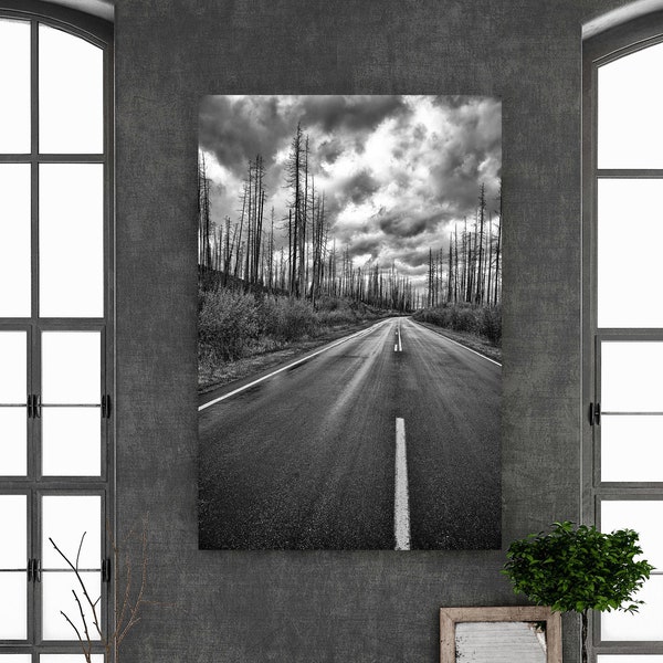 Glacier National Park/Western Forest/Highway Road/Haunting Nature Landscape/SM to Extra Large Wall Decor/Fine Art Photo/Metal, Canvas, Paper
