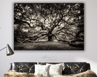 Angel Oak/Charleston SC/Fine Art Nature Photo/Small-Extra Large/Canvas Metal Paper/Old South Carolina/Minimalist/Savannah/Tree of Life/Sepia