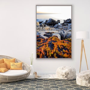 California Coast/Nature Landscape/Fine Art Photography/17 Mile Drive/Pebble Beach Photo/Sm to Oversized Wall Decor/Metal,Canvas,Paper Prints image 1