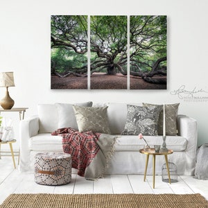 May include: A triptych of photographs featuring a large, sprawling oak tree with its branches reaching out in all directions. The tree is in a forest setting with green foliage and a brown ground. The photographs are framed and hung on a white wall above a white sofa with pillows and a throw blanket.