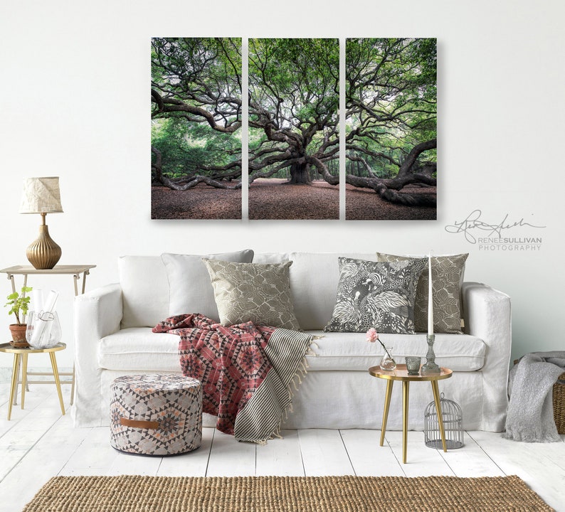 May include: A triptych of photographs featuring a large, sprawling oak tree with its branches reaching out in all directions. The tree is in a forest setting with green foliage and a brown ground. The photographs are framed and hung on a white wall above a white sofa with pillows and a throw blanket.