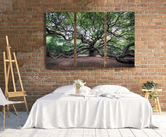 Angel Oak Tree Canvas Triptych: Mystical Southern Live Oak - Frameless Gallery Wrap, Archival Ink, Oversized Wall Decor