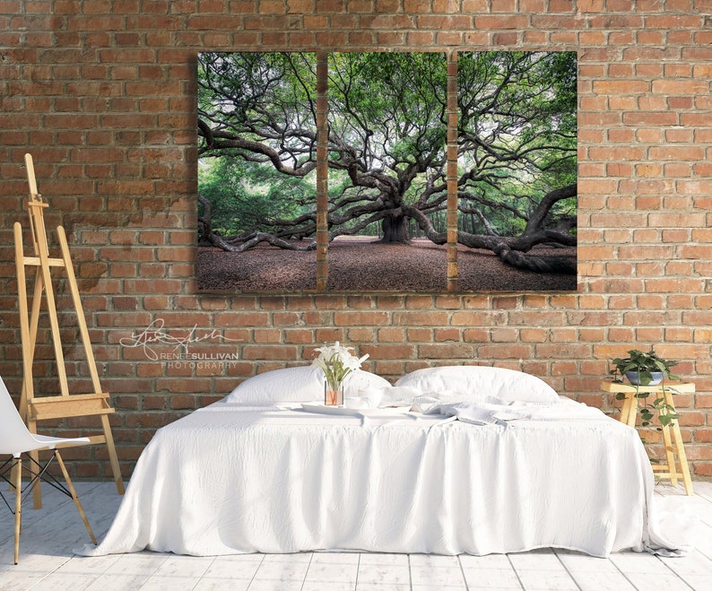 May include: A triptych of photographs featuring a large, sprawling oak tree with thick branches and lush green leaves. The tree is in a forest setting with a dirt path leading to it. The photos are printed on canvas and framed in a modern style.