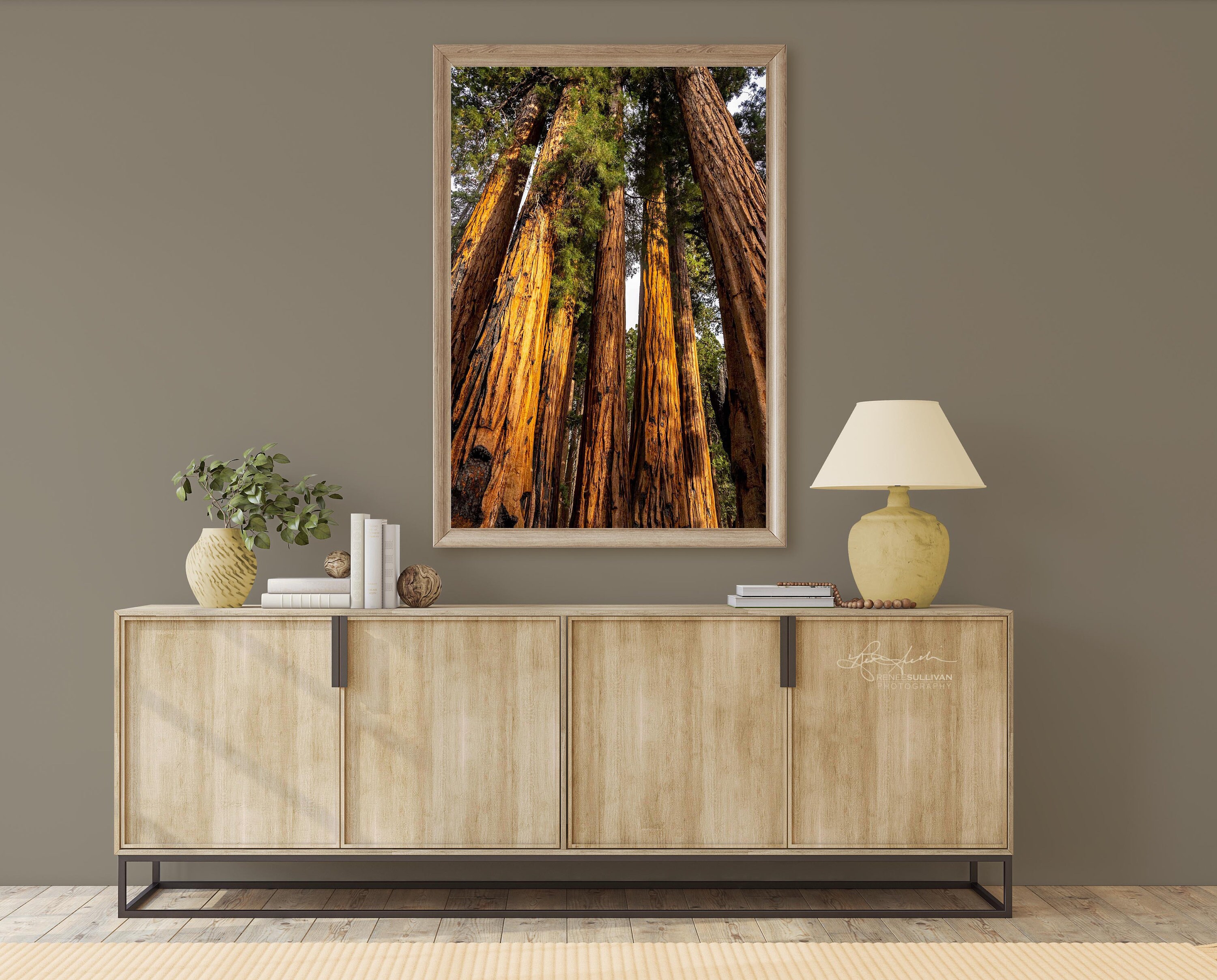 Rare Sequoias/Redwoods/California/Giant Trees/National Park/Nature Landscape/Fine Art Photo/Sm - Extra Large Wall Decor/Metal, Canvas, Paper