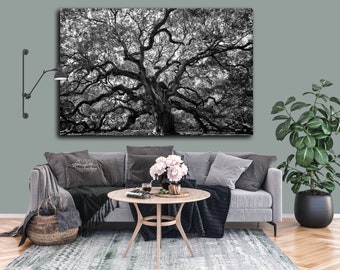 Angel Oak Tree/Charleston SC/Fine Art Nature Photo/South Carolina Live Oak/Oversized Wall Decor/Minimalist/Black & White/Paper Canvas Metal