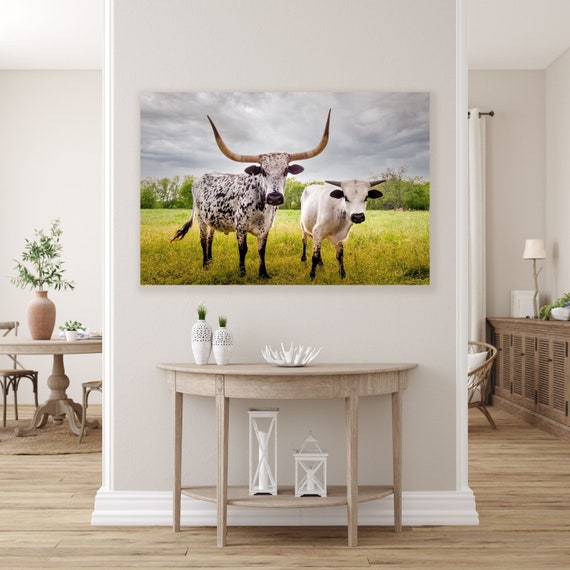 Bulls Cows Livestock: Texas Longhorns Fine Art Photo, Rustic Cowboy Decor | Canvas, Metal, Paper Prints | Multiple Sizes