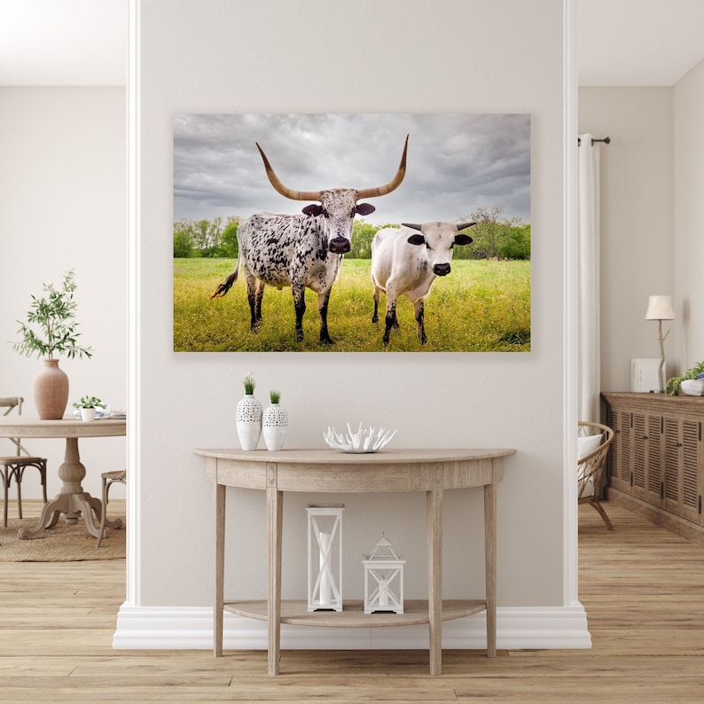 Bulls Cows Livestock: Texas Longhorns Fine Art Photo, Rustic Cowboy Decor | Canvas, Metal, Paper Prints | Multiple Sizes image 1